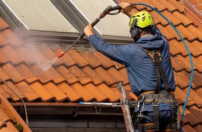 Démoussage et hydrofuge de toiture à Chassenon